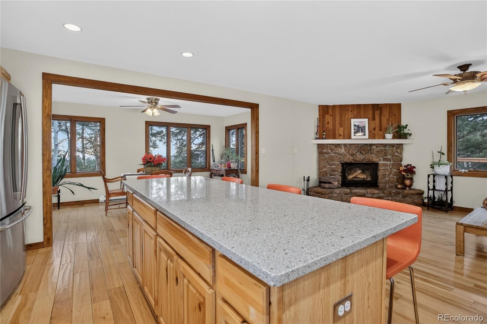 Property Photo:  9039 S Bertha Court  CO 80465 