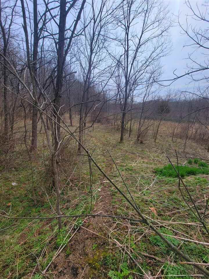 Property Photo:  3686 N Plilomath Road  IN 47325 