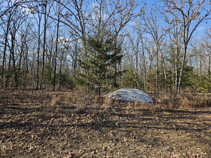 Property Photo:  Tract 4 State Highway 174  MO 65705 