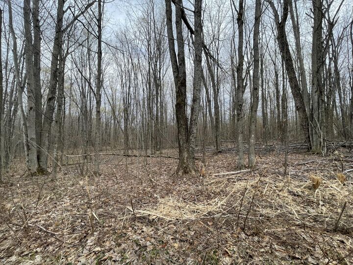 Property Photo:  L 320-321 Whispering Pines Drive  MI 49659 