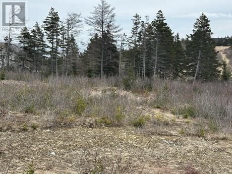 Property Photo:  7A Cotters Street  NL A1Y 1A7 
