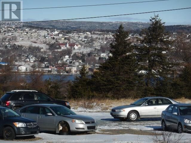 Property Photo:  56 Columbus Drive  NL A1Y 1A7 
