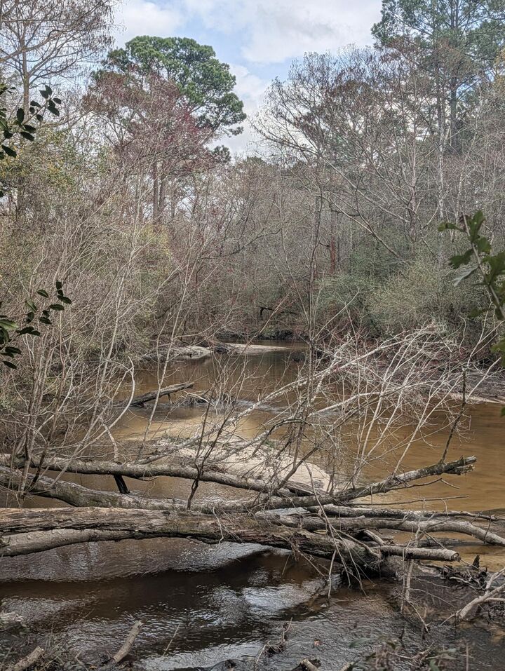 Property Photo:  Lot 9 Plantation Lane  FL 32433 