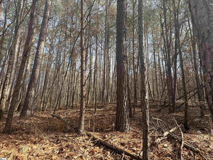 Property Photo:  000 S Retreat Road  SC 29693 