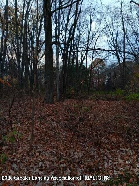 Property Photo:  0 Beechwood Dr  MI 48895 