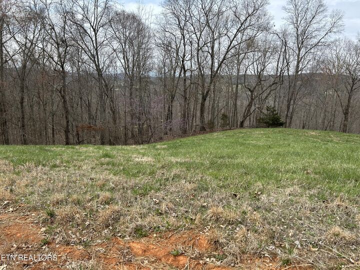 Property Photo:  Lot 260-B Marble Point Way  TN 37825 