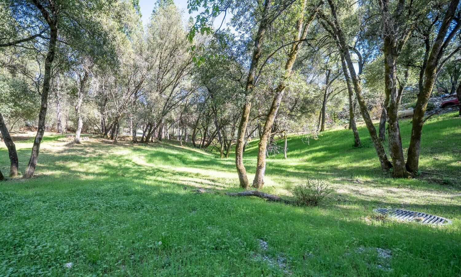 Property Photo: 1621 Coyote Drive CA 95247