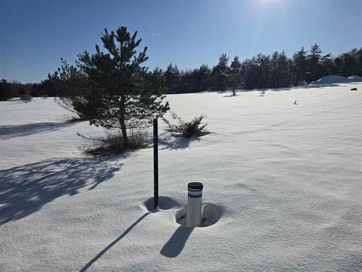 Property Photo: Tbd Needles Lot #36 MI 49740