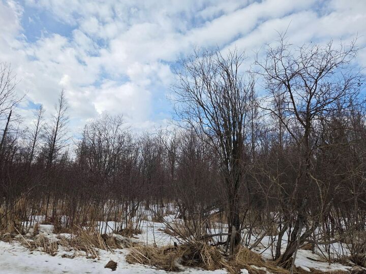 Property Photo:  Tbd Three Mile Road NE  MN 56630 