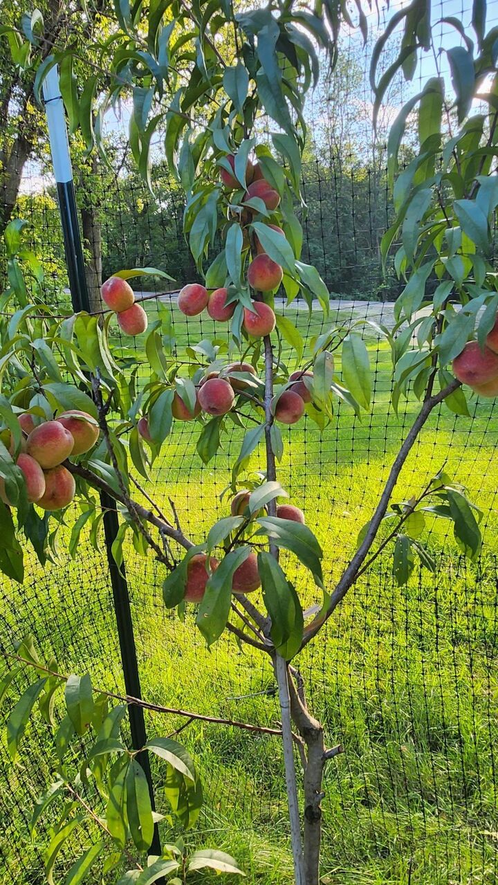 Property Photo:  15123 Fox Street NW  MN 55304 