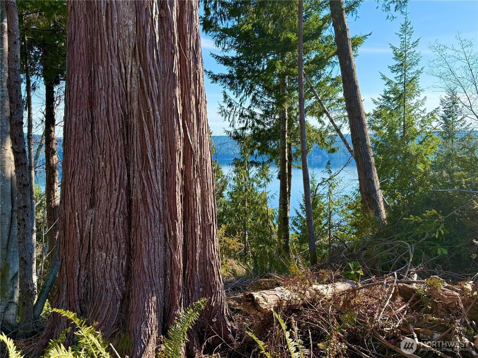 Property Photo:  63  Devereaux Drive  WA 98555 