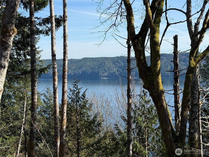 Property Photo:  67  Devereaux Drive  WA 98555 