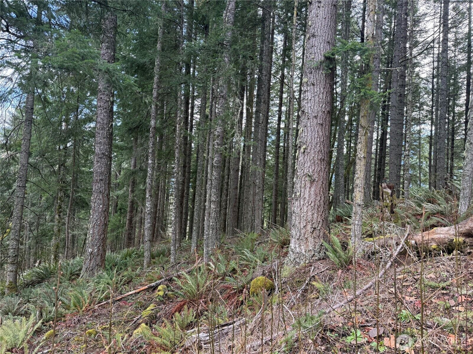 Property Photo: 53007 128th Avenue E WA 98328