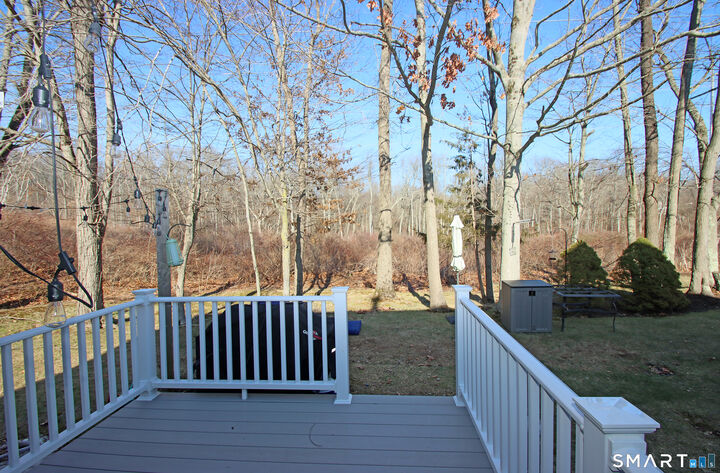 Property Photo:  30 Mallard Court 30  CT 06492 