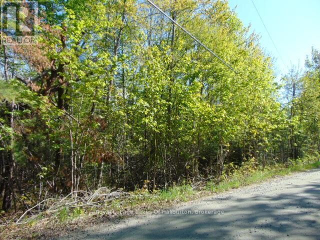 North Drive — photo 1