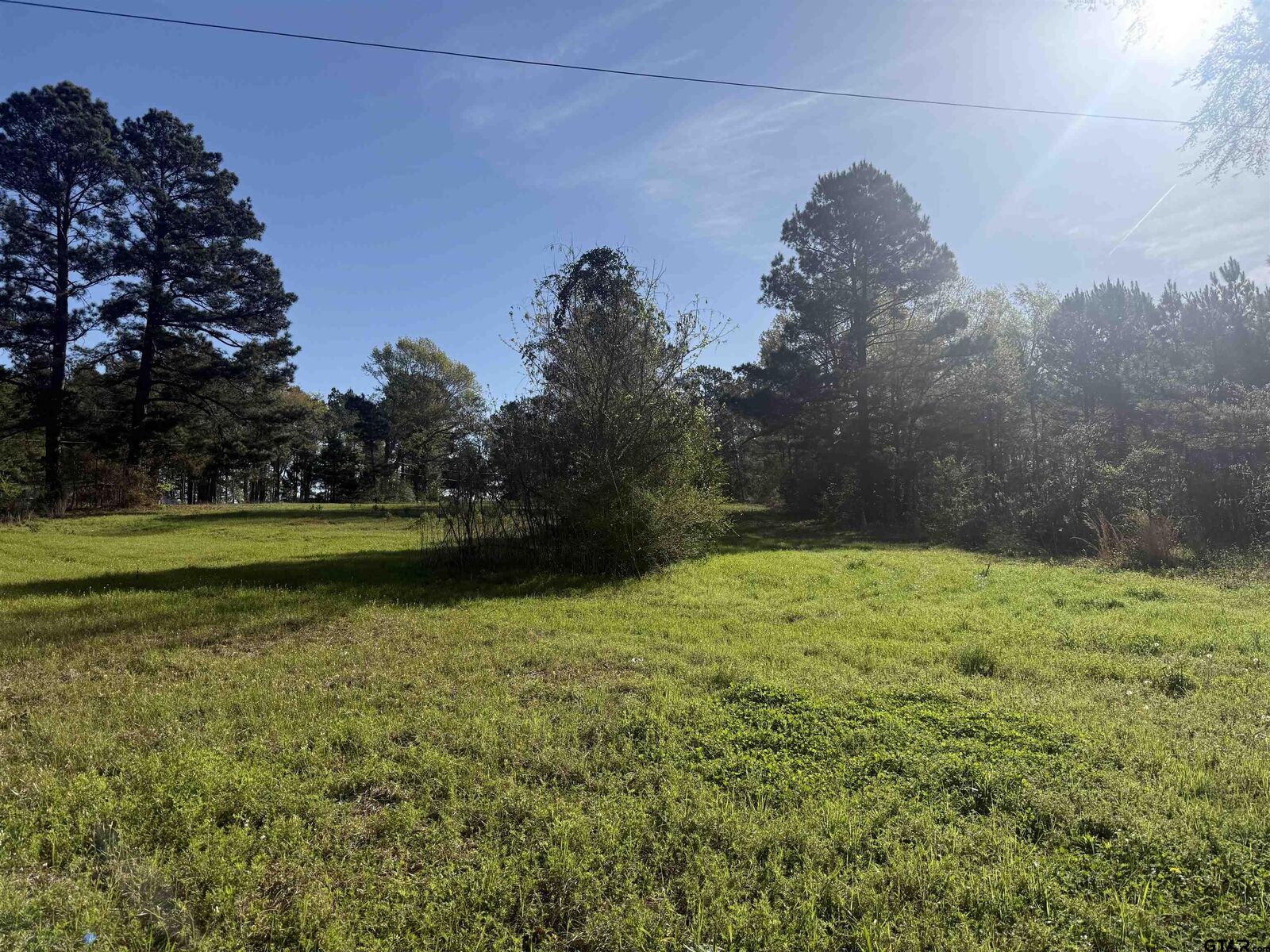Property Photo:  15830 Shady Creek  TX 75705 