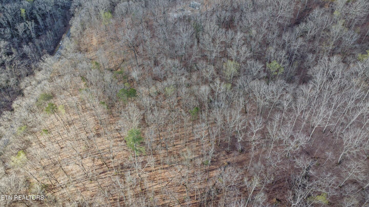 Property Photo:  Lot 435 Hidden Oaks Rd  TN 37854 