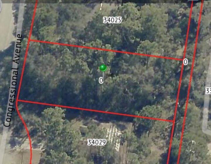 Property Photo:  34027 Congressional Avenue  FL 33523 