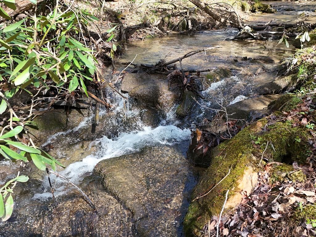 Property Photo:  Lot 44B Synacia Drive  GA 30559 