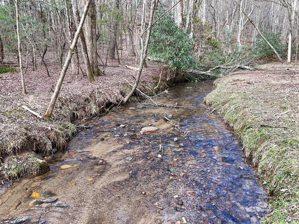 Property Photo: Lot 45B Synacia Drive GA 30559