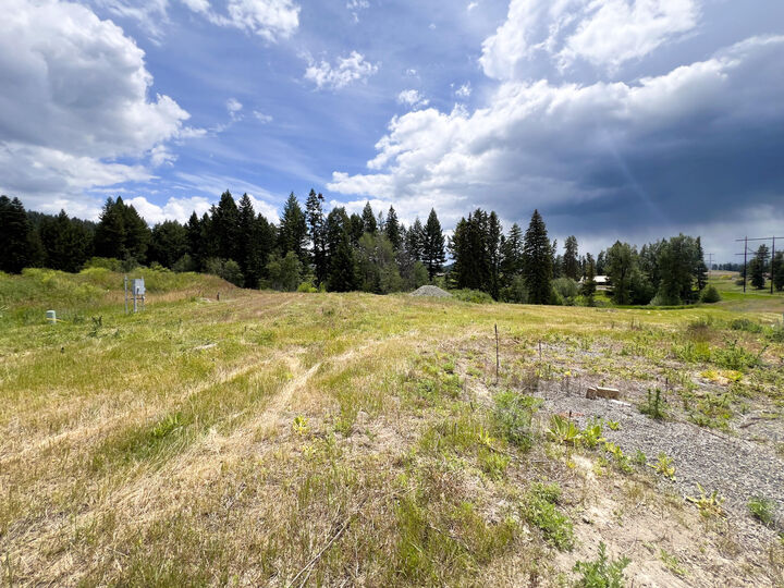 Property Photo:  2082 Whitetail Way  WA 99114 