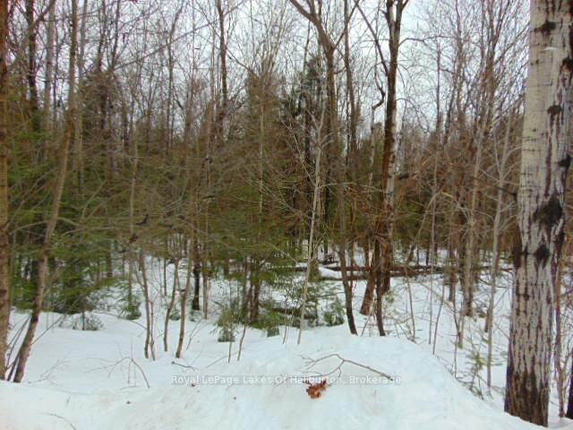 Property Photo:  Lot 11 Plan 580 North Drive  ON K0M 1S0 