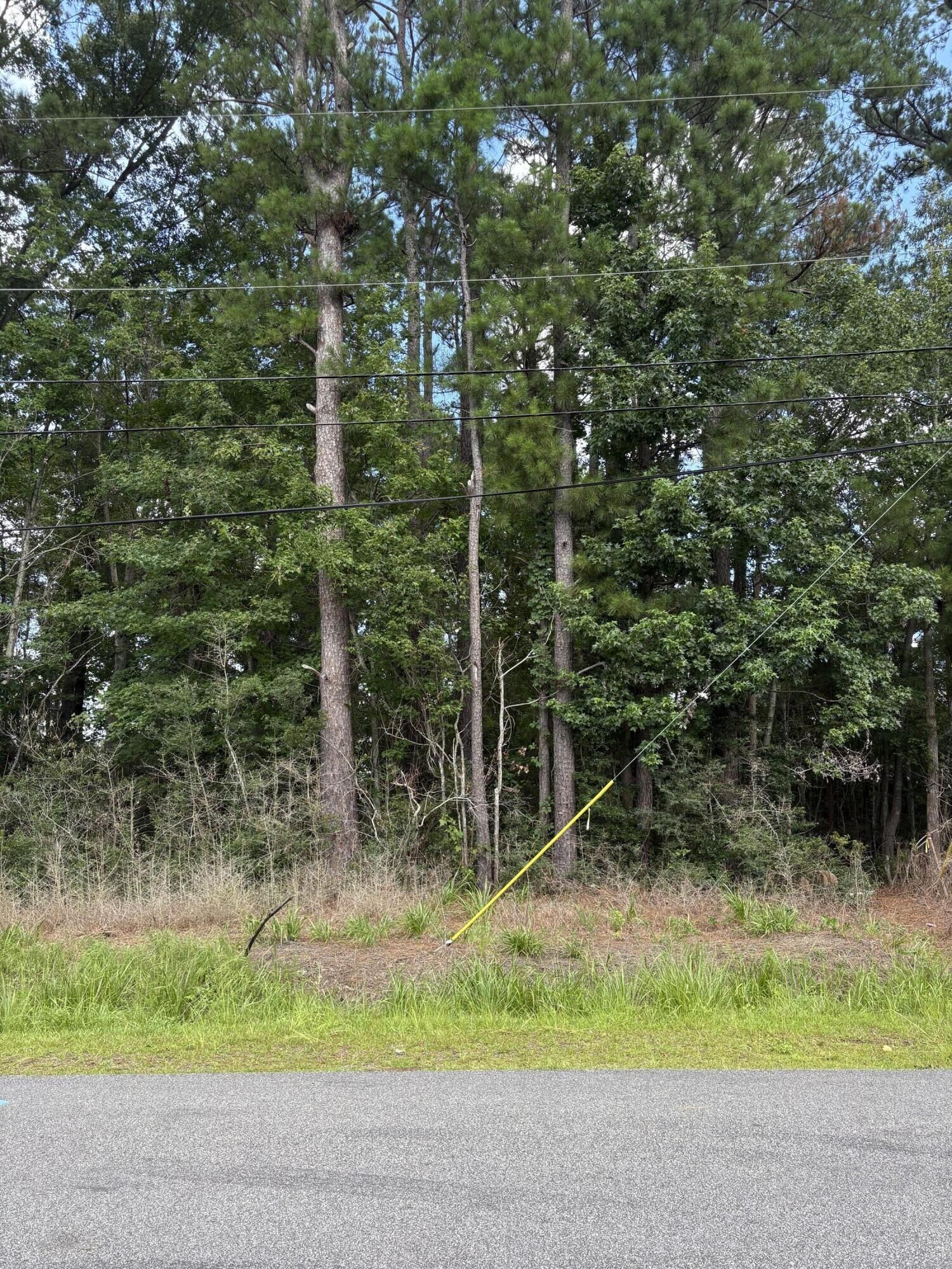 Property Photo: 0 University Drive Lot 185 SC 29418