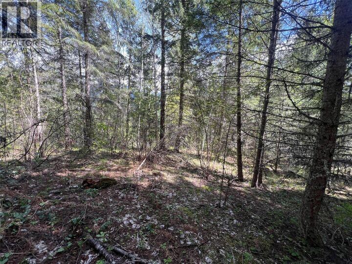Property Photo:  Lot 2 Lois Lane  BC V0G 2J0 