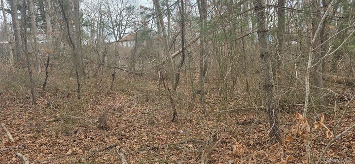 Property Photo:  Vl(46&Amp47) Bedford Avenue  NY 11950 