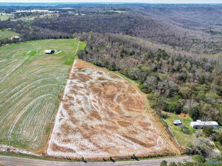 Property Photo: 43 Acres Paramount Drive AL 35016