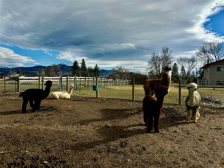 Property Photo: 2734 Spurgin Road MT 59804