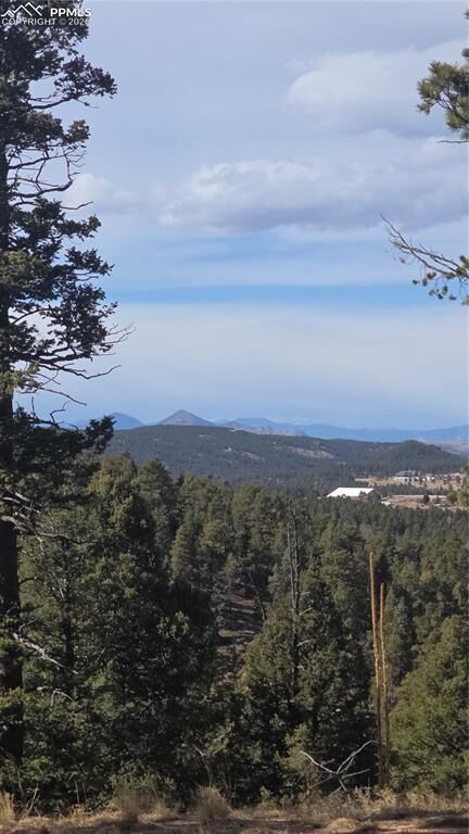 Property Photo: 169 Osoeola Road CO 80863