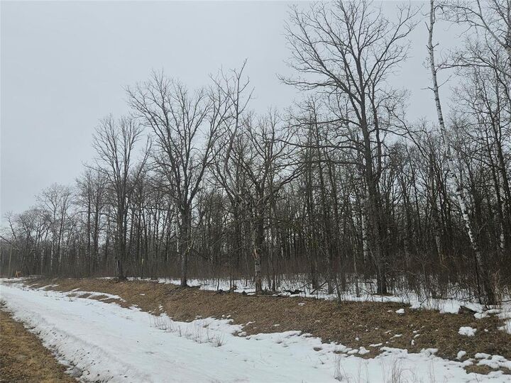 Photo de la propriété:  57 Lilac Lane  MB R0A 0W2 