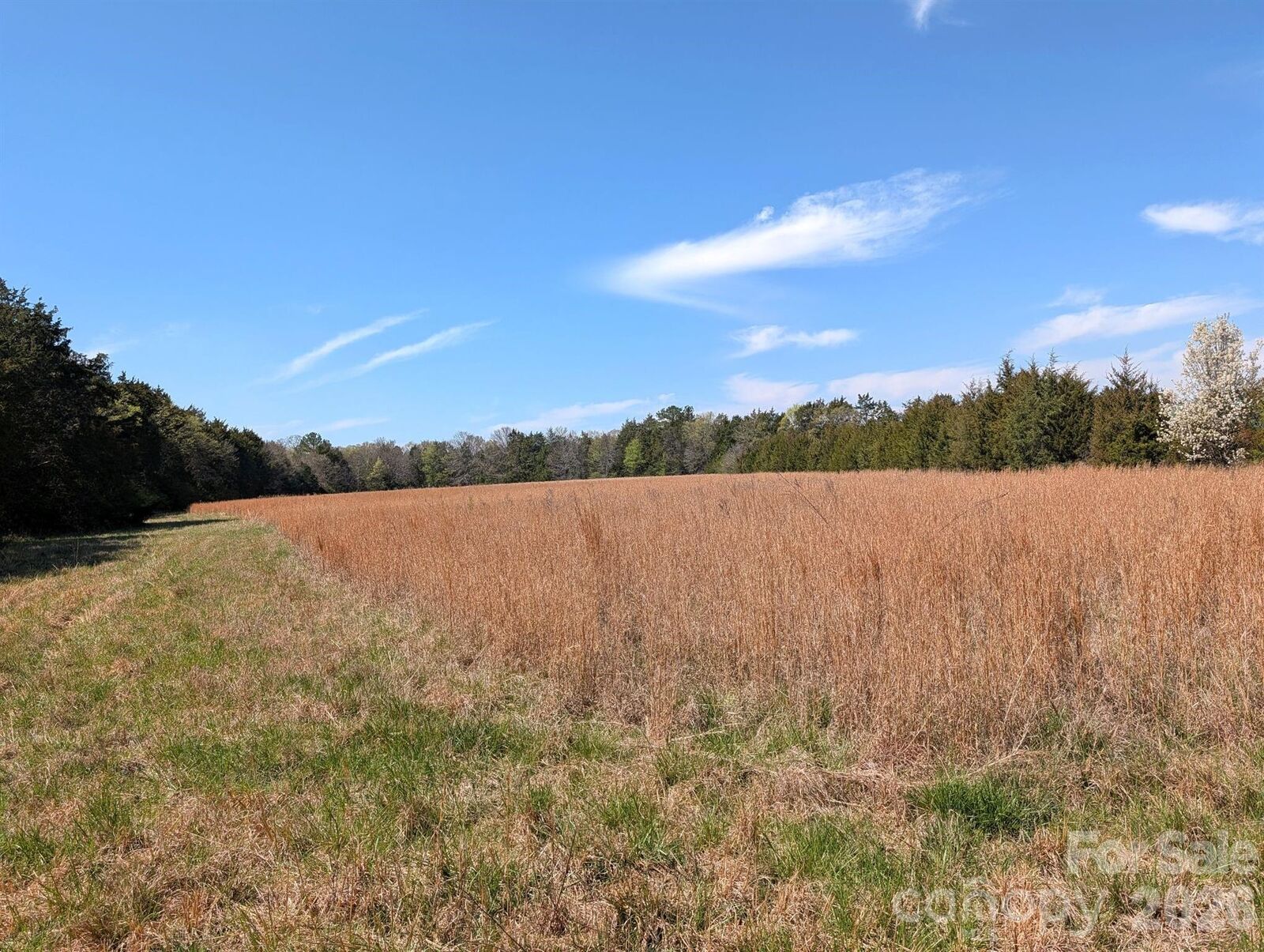 Property Photo:  Tract 23 Hwy 72 Highway  SC 29730 