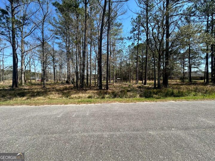 Property Photo:  102 Trail South  GA 31320 