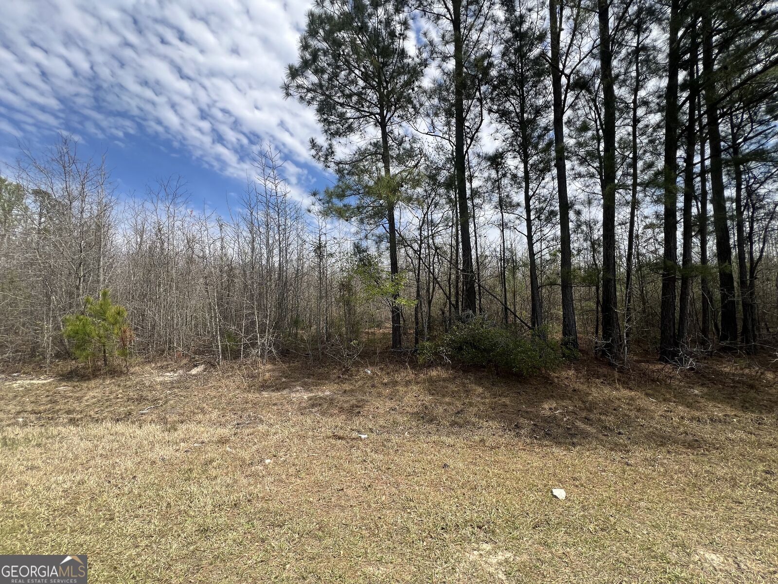 Property Photo: 0 Marshall Church Road GA 30824