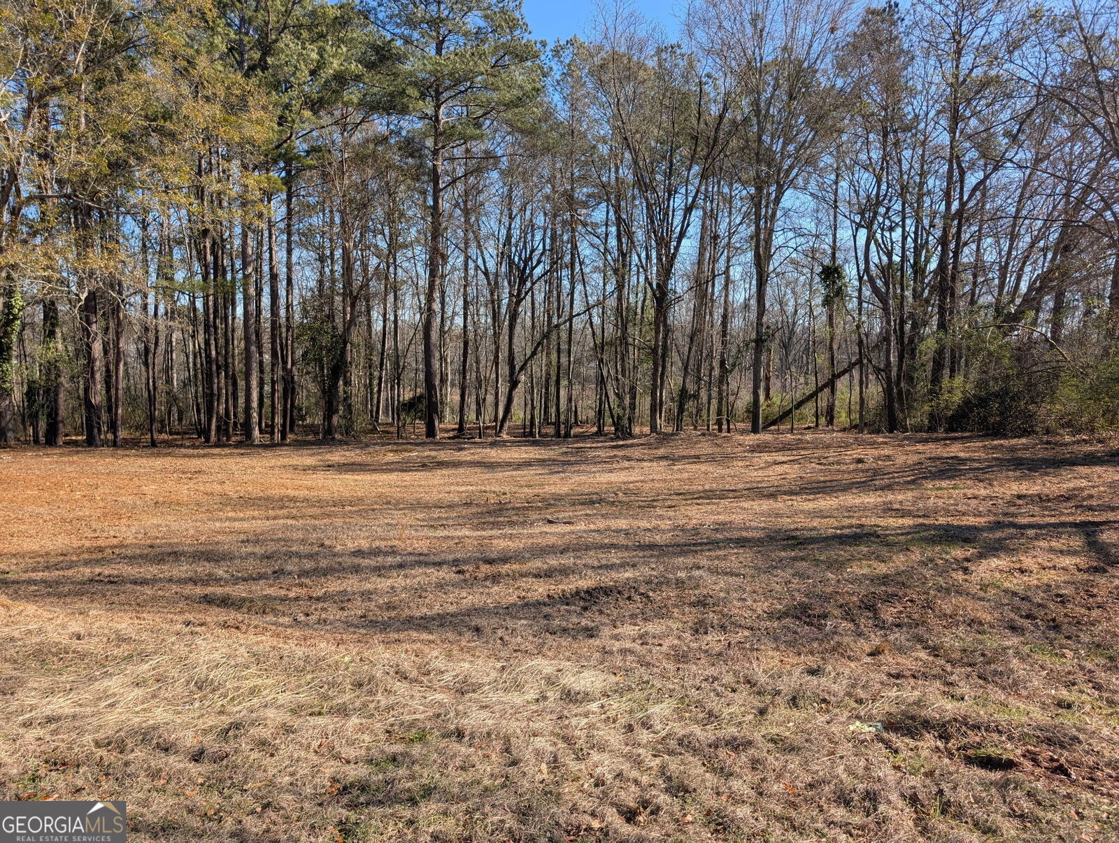 Property Photo:  117 Jones Street  GA 30240 