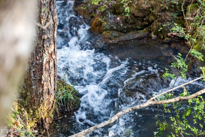 Property Photo:  150 Clear Branch Rd N  TN 37774 