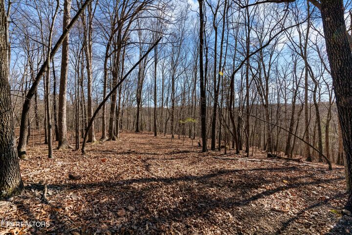 Property Photo: 150 Clear Branch Rd N TN 37774