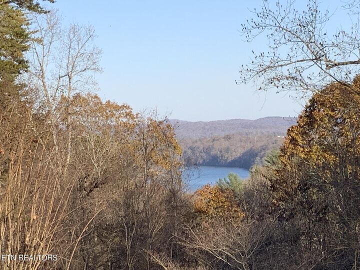 Property Photo:  596 Skyline Drive  TN 37748 