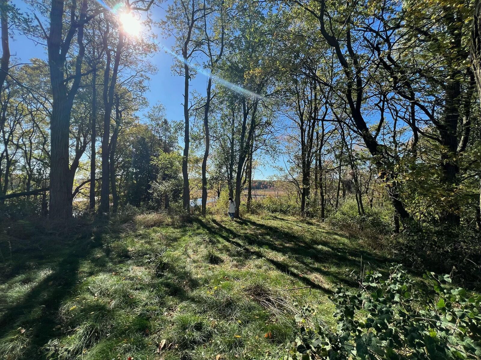 Property Photo: 4832 W Monroe Road MI 49449