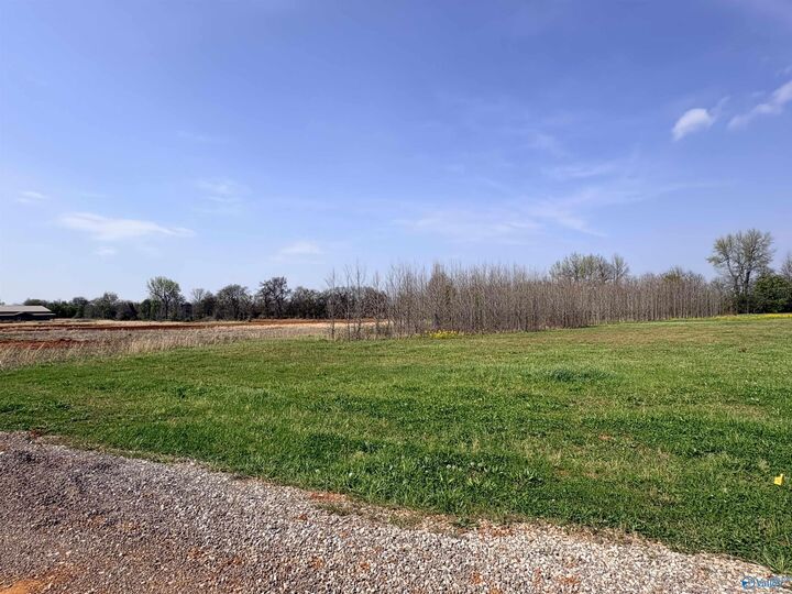 Property Photo:  23713 Old Homeplace Way  AL 35613 