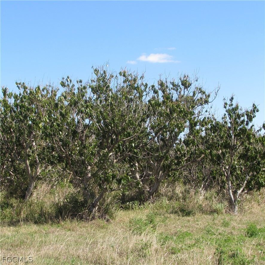 Property Photo:  13171 Samadani Lane  FL 33922 