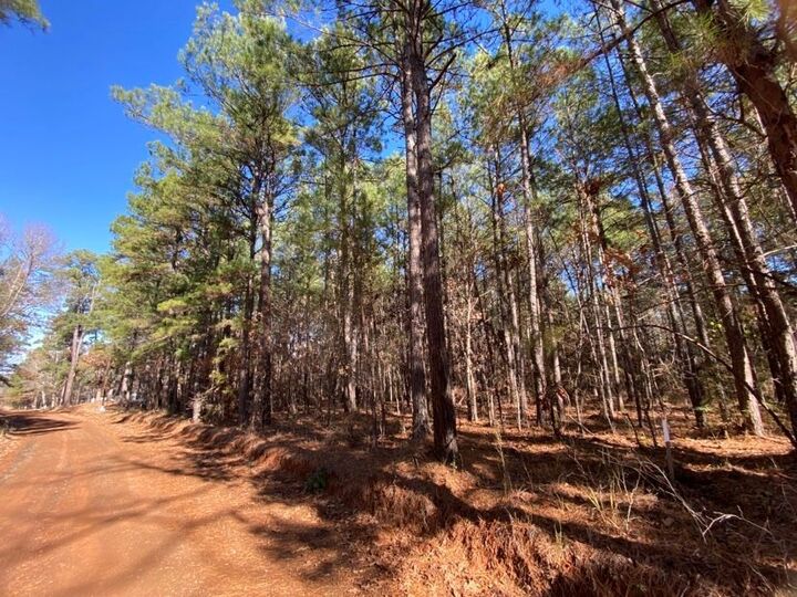 Property Photo:  Pid 4968 Cr 969  TX 75760 