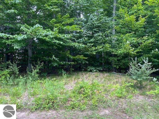 Property Photo:  #7 Mooney Way  MI 49648 