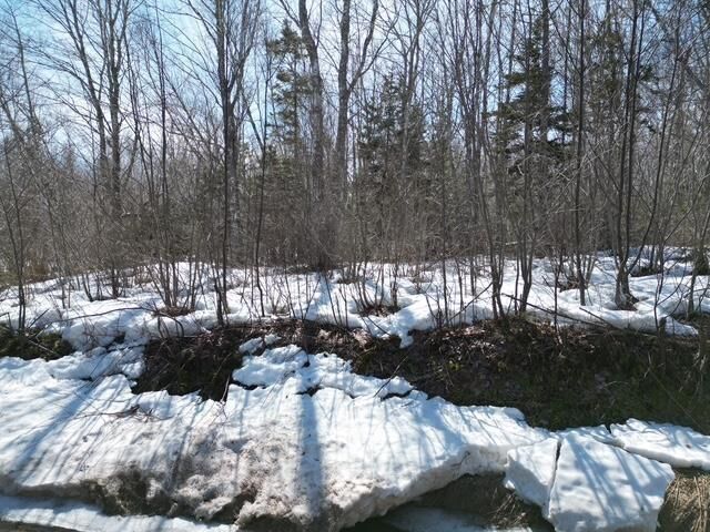 Property Photo:  Lot Cloverdale Road  NS B2G 2L1 