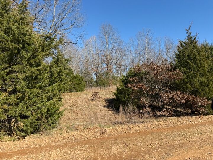 Property Photo:  Mc 3015 72687 Road  AR 72672 