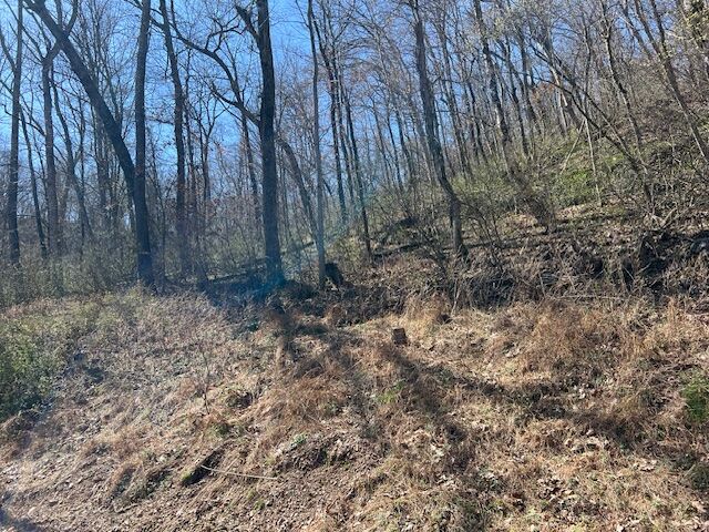 Property Photo:  44 Wildcat Drive  AR 72631 