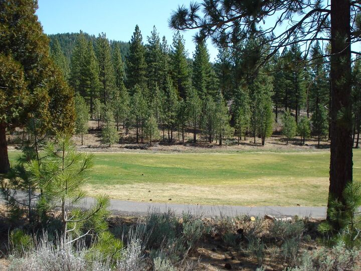 Property Photo:  404 Blacktail Ridge 2  CA 96122 