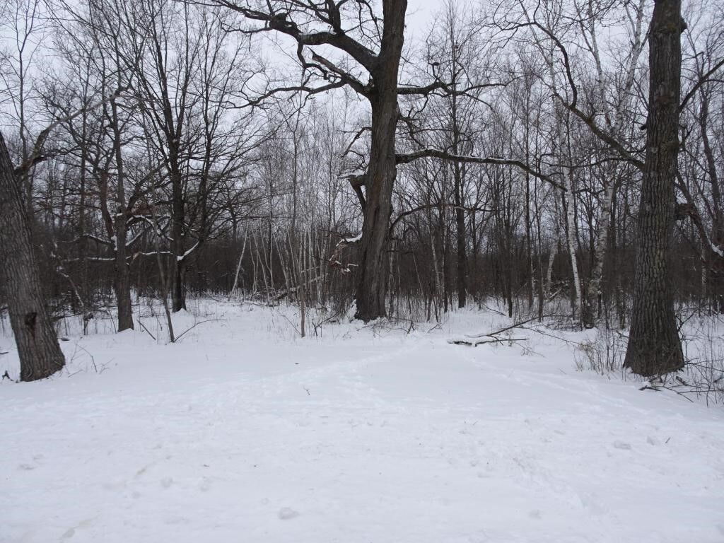 Property Photo:  Xxx 150th Street  WI 54858 